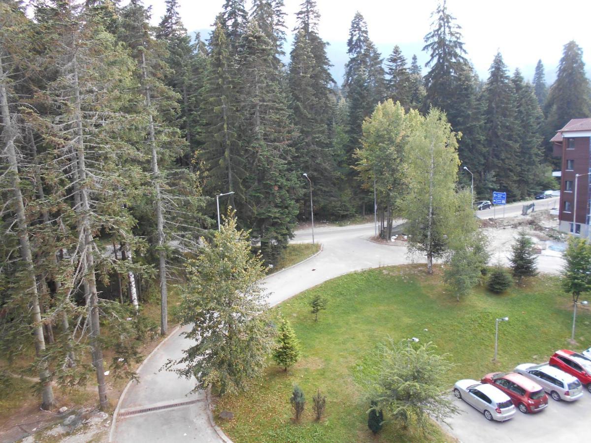 Valentina'S Studio In "Borovets Gardens" Hotel Экстерьер фото
